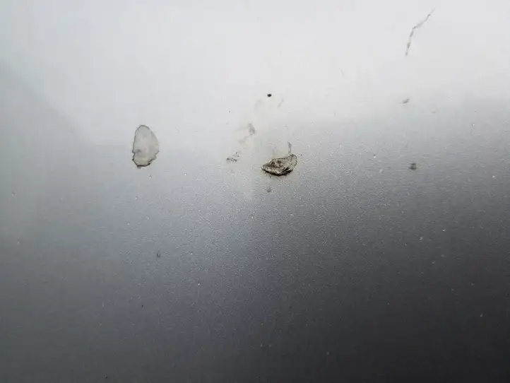 BMW X3 E83 (2003 - 2010)   Дверь