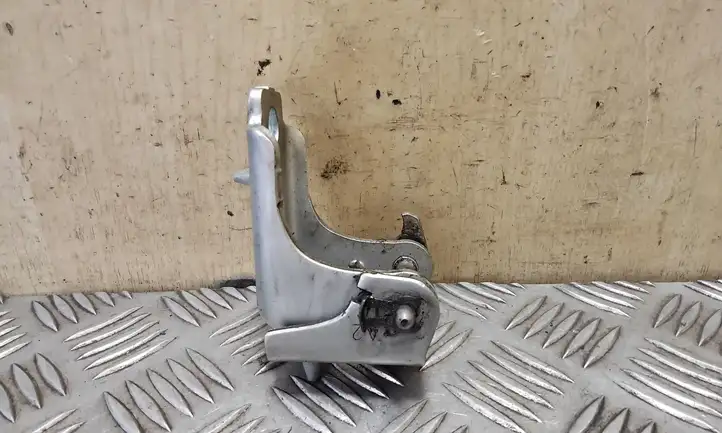 Peugeot 508 (2010 - 2014)   Нижняя петля задней двери