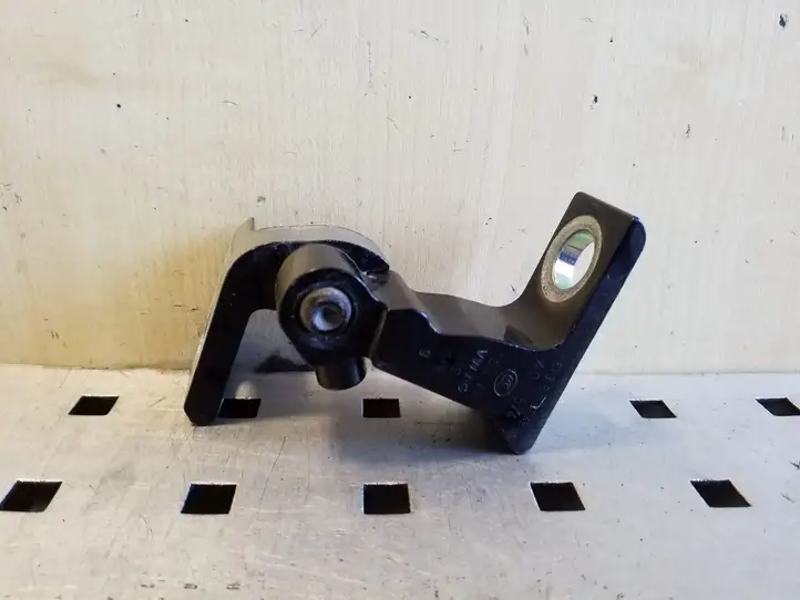 Volkswagen PASSAT B8 (2015 - )  8X0831404E Верхняя петля задней двери