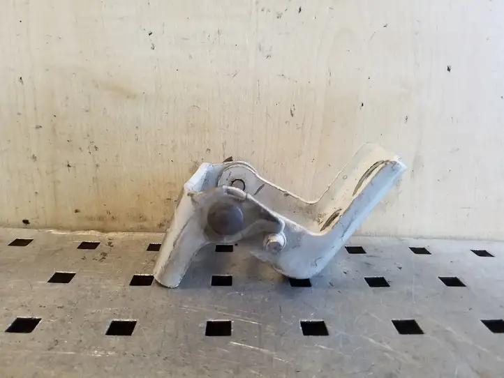 Citroen C4 Picasso (2013 - 2016)   Верхняя петля задней двери