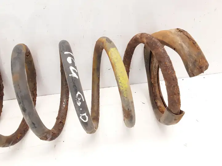 Jaguar X-Type (2001 - 2008) Пружина задней подвески — фото 4