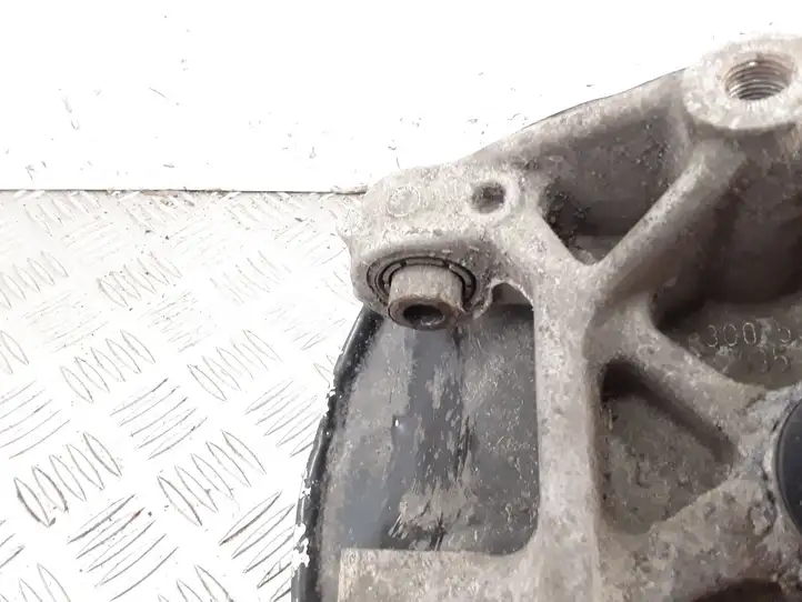 Volkswagen Passat CC (2012 - 2017)  3C0505435F Задний поворотный кулак (ступица, цапфа)