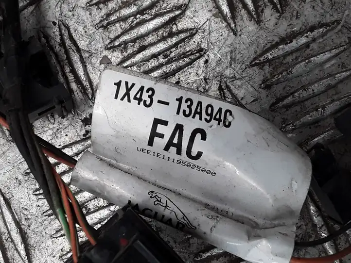 Jaguar X-Type (2001 - 2008)  1X4313A940FAC Другой проводник