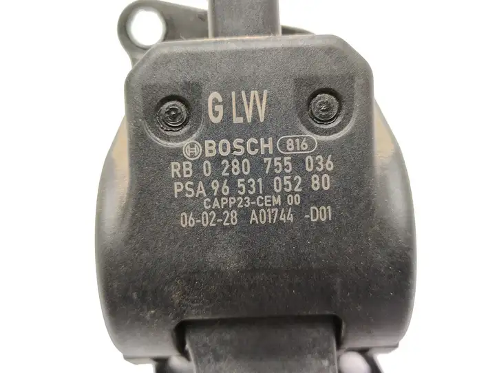 Citroen Berlingo (2003 - 2007)  0280755036 Педаль акселератора