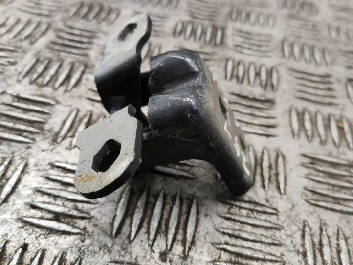 Renault Scenic II -  Grand scenic II (2006 - 2009)  704552 Верхняя петля задней двери