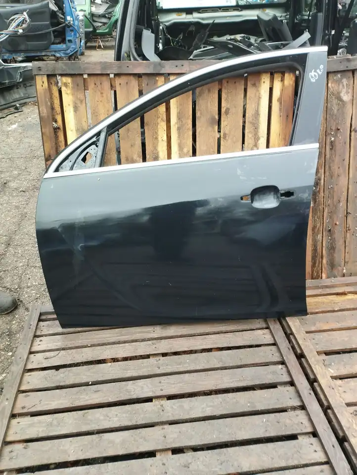 Opel Insignia A (2008 - 2017) Дверь — фото 1