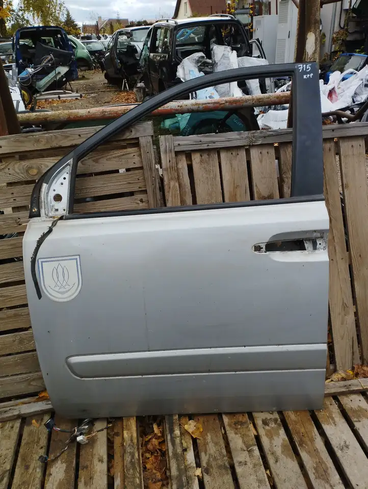 Kia Carnival (2006 - 2014) Дверь — фото 1