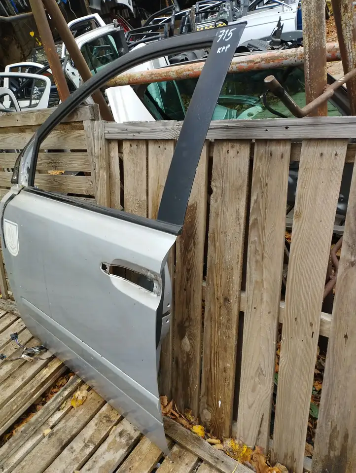 Kia Carnival (2006 - 2014) Дверь — фото 2