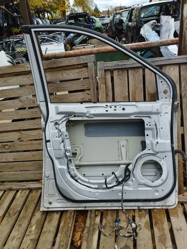 Kia Carnival (2006 - 2014) Дверь — фото 4