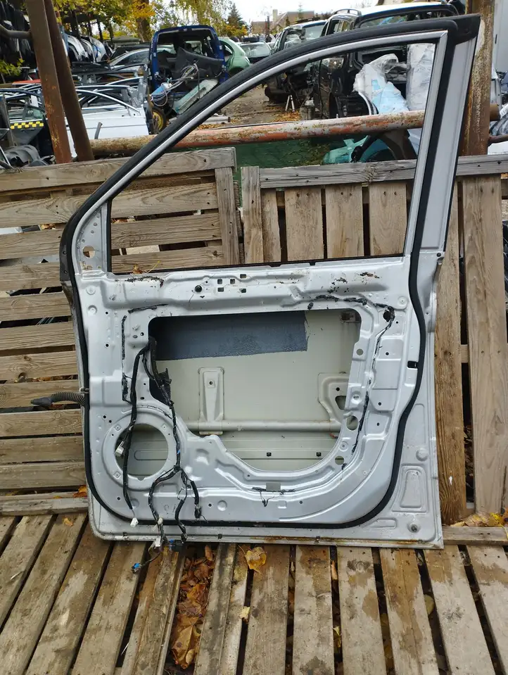 Kia Carnival (2006 - 2014) Дверь — фото 4