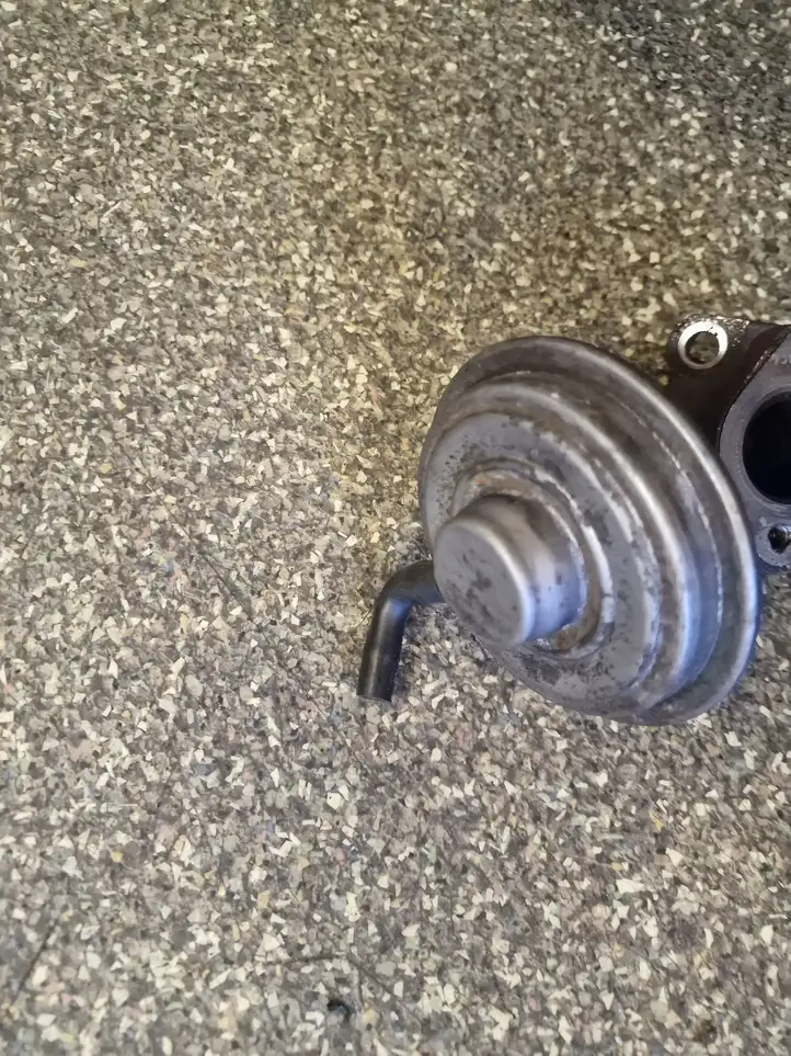 Audi A4 (2004 - 2009)   Клапан EGR