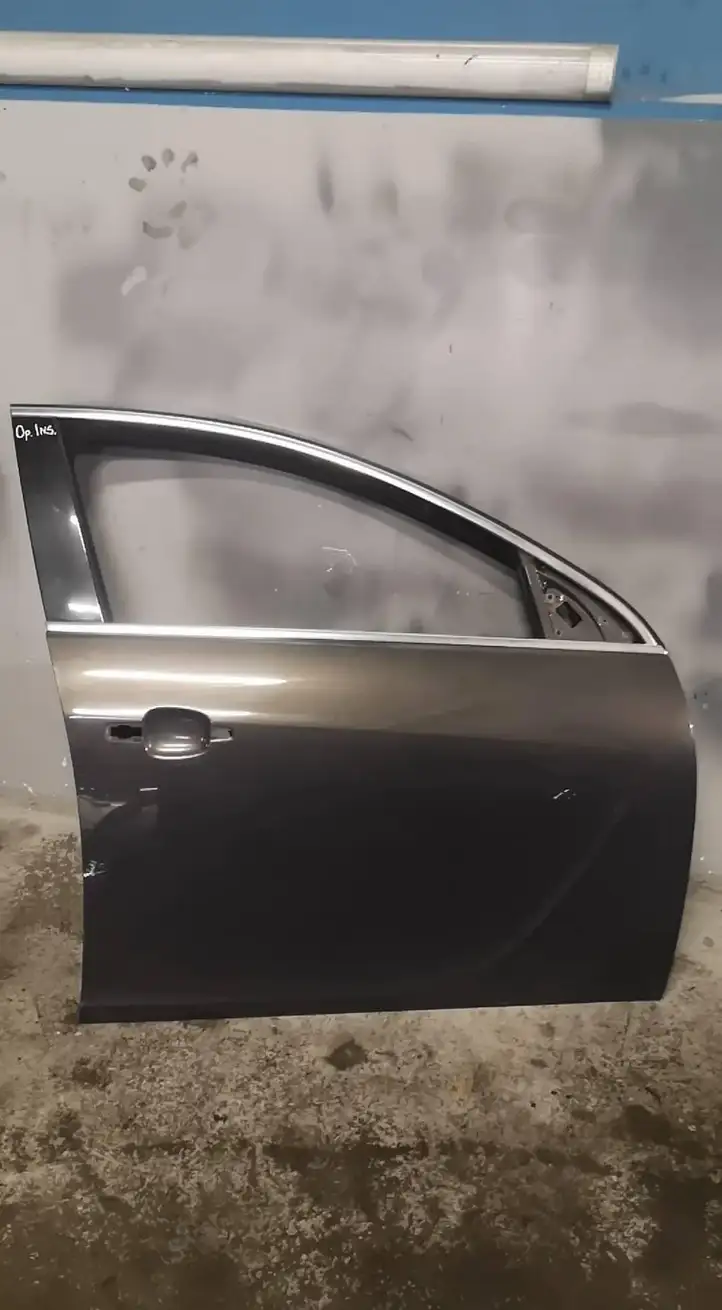 Opel Insignia A (2008 - 2017) Дверь — фото 1