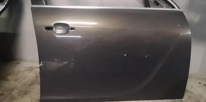 Opel Insignia A (2008 - 2017) Дверь — фото 2