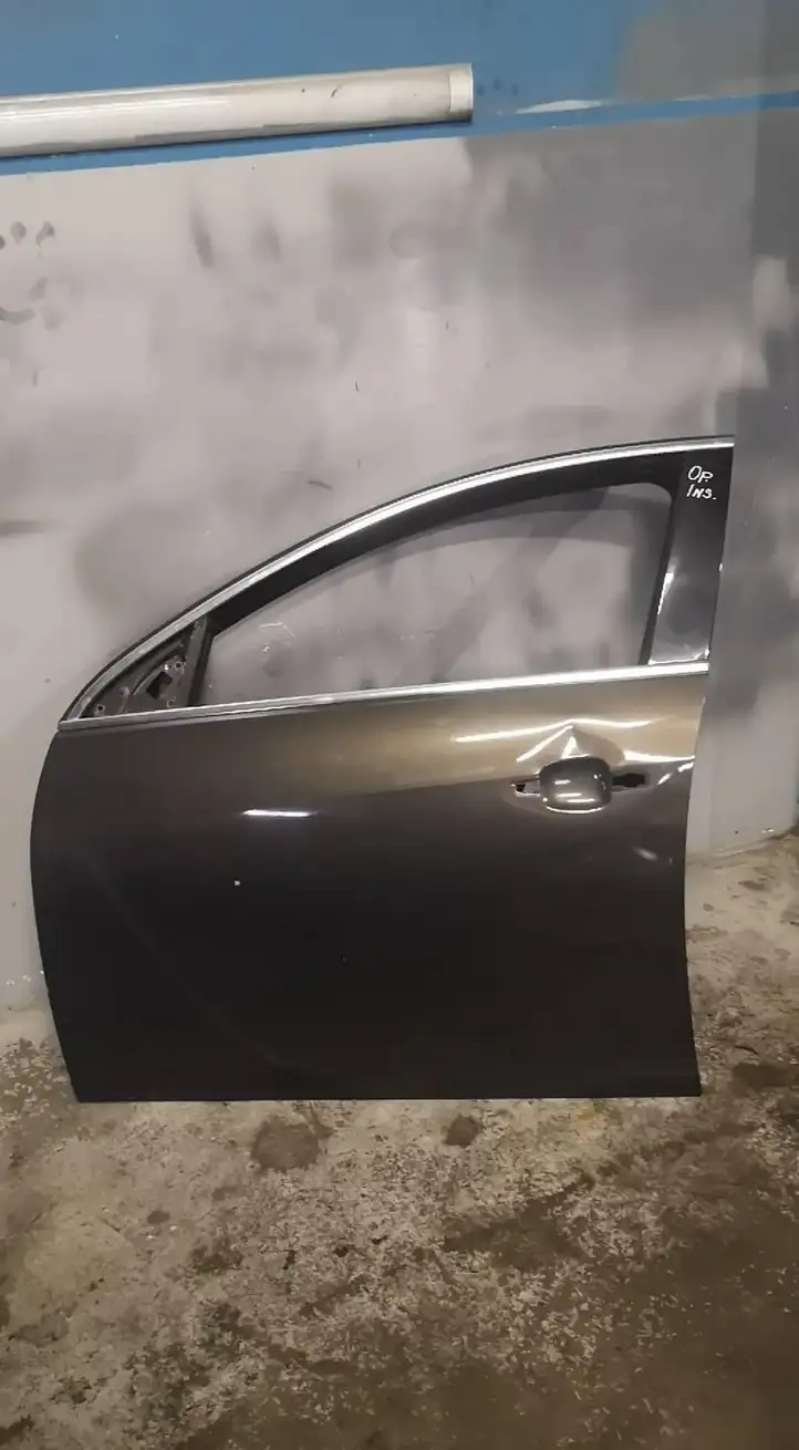 Opel Insignia A (2008 - 2017) Дверь — фото 1