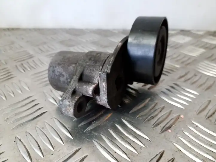 Ford Focus (2011 - 2015)  CM5Q6A228BA Устройство натяжки ремня