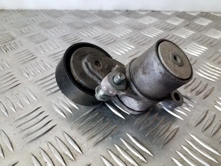 Ford Focus (2011 - 2015)  CM5Q6A228BA Устройство натяжки ремня