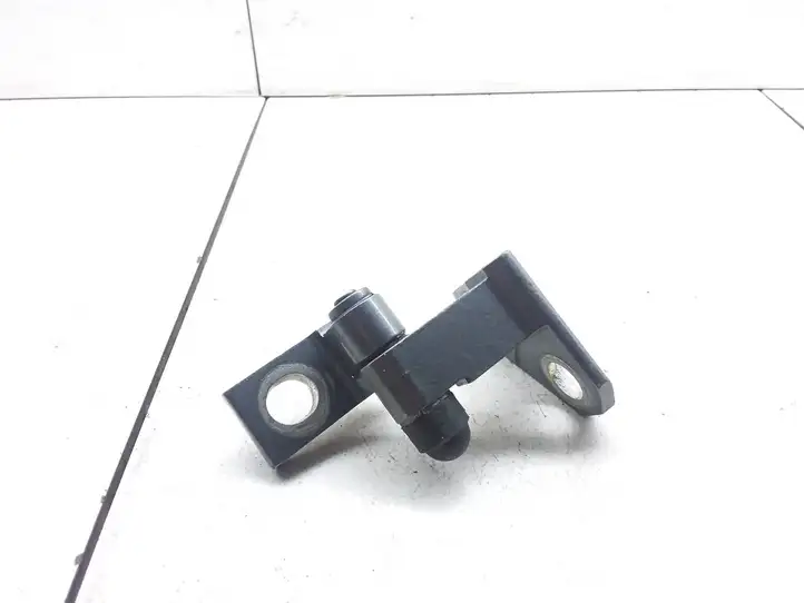 Volkswagen PASSAT B6 (2005 - 2010) Нижняя петля задней двери — фото 2