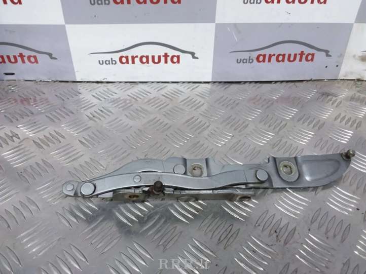 41628222715 BMW 3 E46 Vyris (-iai) variklio dangčio