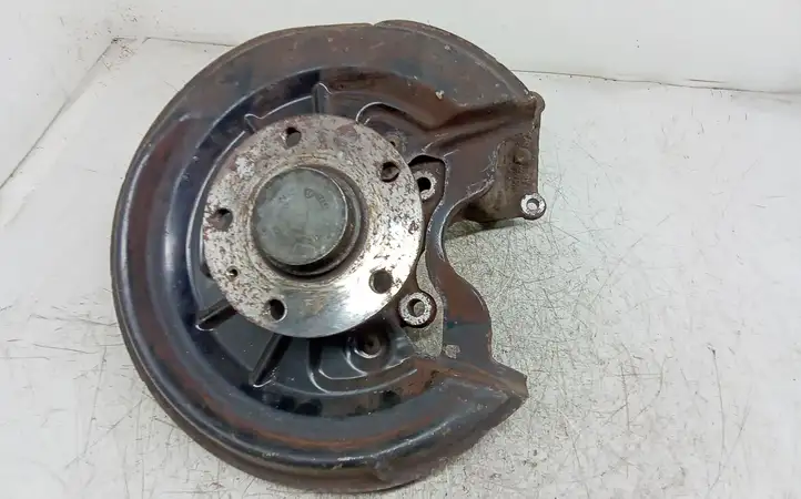 Volkswagen Golf VI (2009 - 2013)   Задний поворотный кулак (ступица, цапфа)