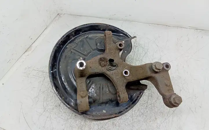 Volkswagen Golf VI (2009 - 2013)   Задний поворотный кулак (ступица, цапфа)