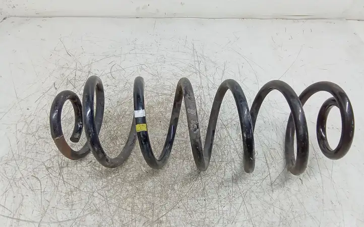 Volkswagen Golf Plus (2004 - 2008)   Пружина