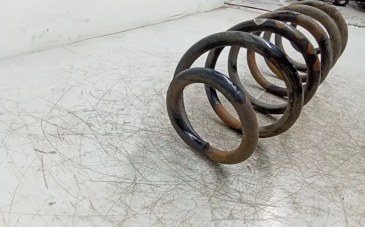Volkswagen Golf V (2003 - 2009) Пружина задней подвески — фото 3