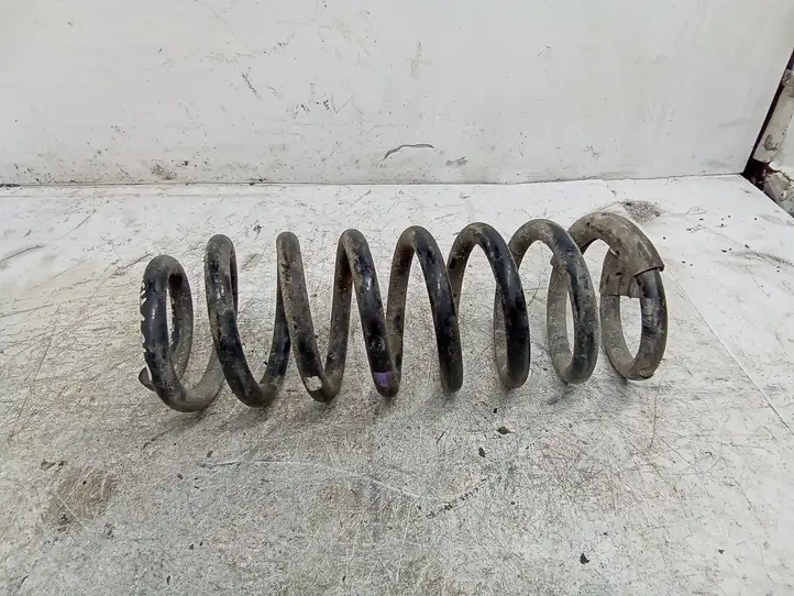 Peugeot 607 (2000 - 2004)   Пружина