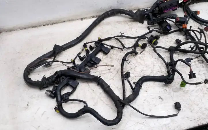 Audi A5 (2007 - 2011)   Проводка двигателя