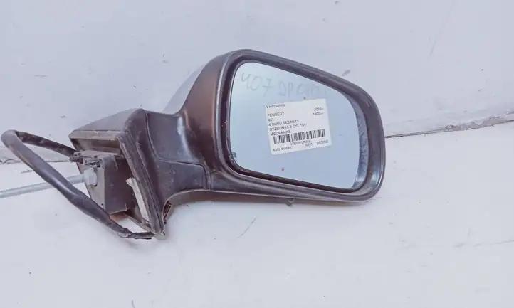 Peugeot 407 (2004 - 2011) Боковое зеркало с электроприводом — фото 1
