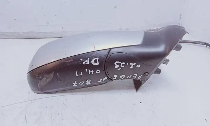 Peugeot 307 CC (2001 - 2005) Боковое зеркало с электроприводом — фото 3