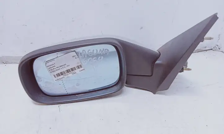 Renault Laguna II (2001 - 2005) Боковое зеркало с электроприводом — фото 1