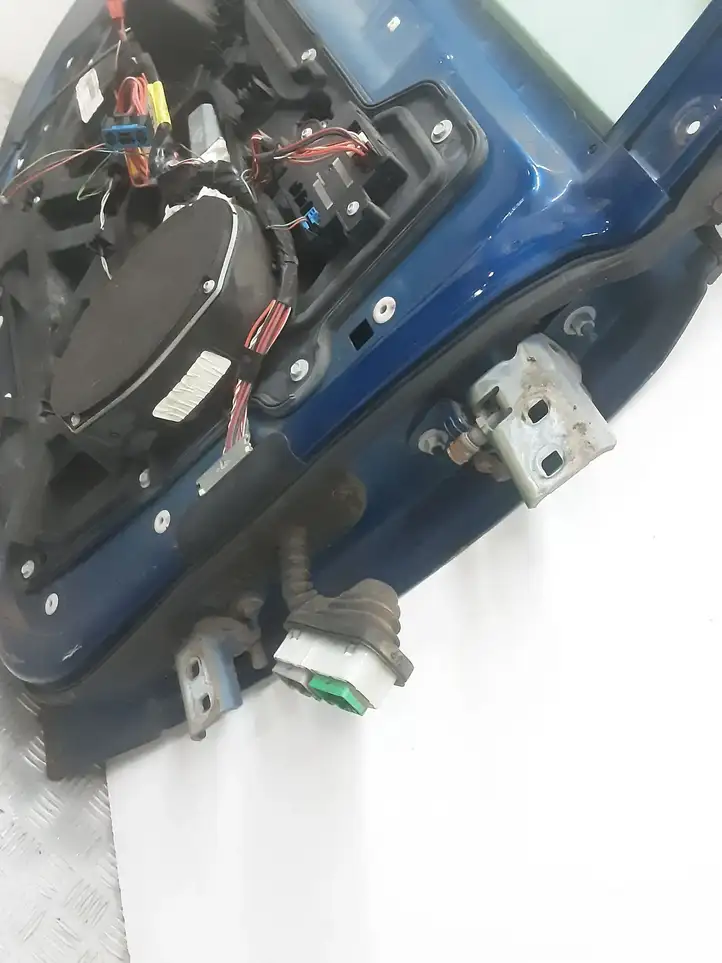 Dodge Grand Caravan (2007 - 2020) Дверь — фото 5