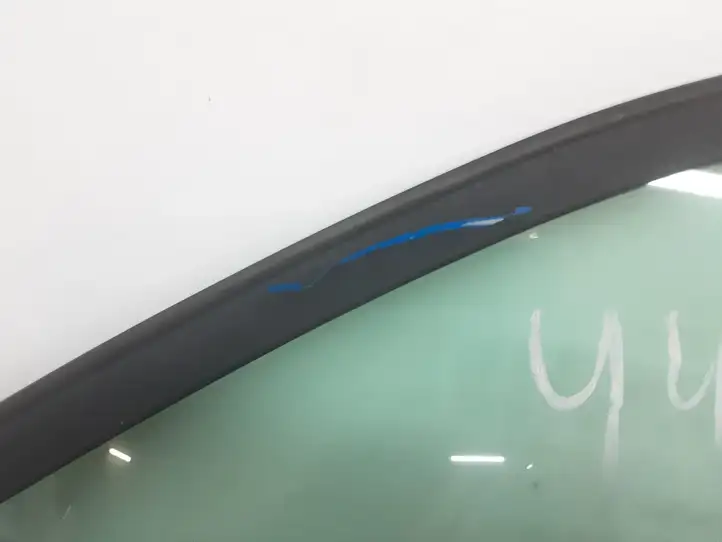 Dodge Grand Caravan (2007 - 2020) Дверь — фото 10