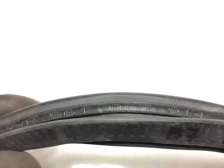 Volkswagen PASSAT B7 USA (2012 - 2016) 561867914 Уплотнитель кузова — фото 2