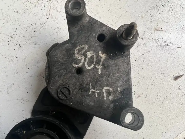 Peugeot 307 (2001 - 2005)   Устройство натяжки ремня