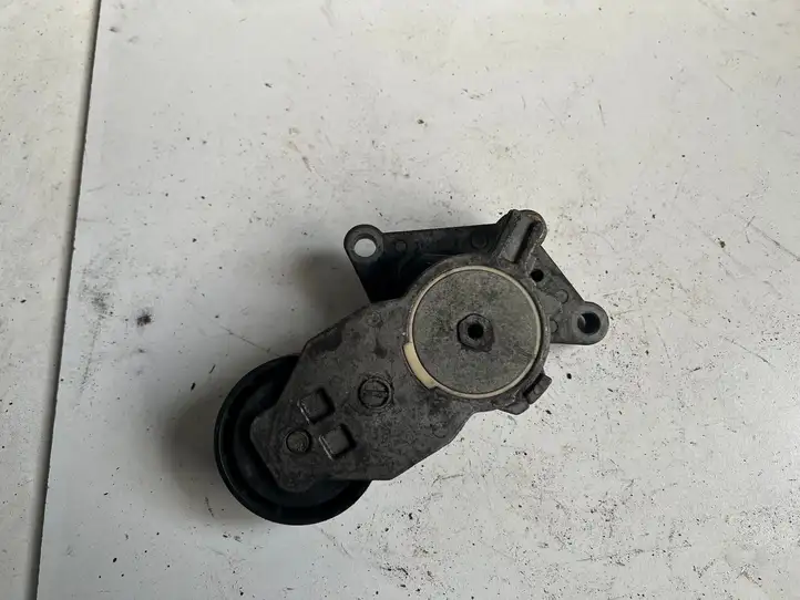 Peugeot 307 (2001 - 2005)   Устройство натяжки ремня