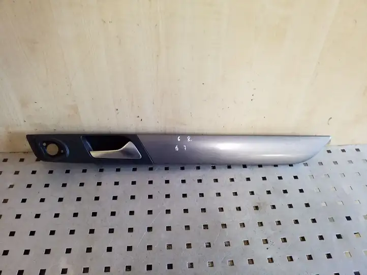 Volkswagen PASSAT B7 (2011 - 2014)  3AA839114 Внутренняя ручка