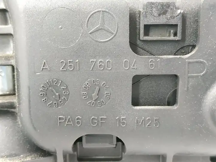 Mercedes-Benz R W251 (2005 - 2013) Внутренняя ручка задней двери — фото 5