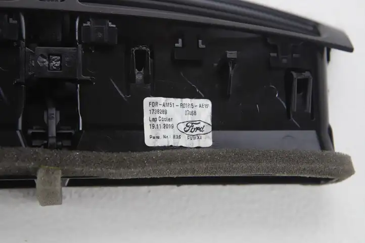 Ford Kuga II (2013 - 2019) FDRAM51R01815AEW Центральный воздушный дефлектор — фото 5