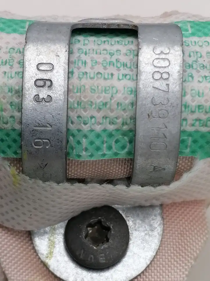 Jaguar F-Pace (2016 - )  309017120AB Боковая подушка безопастности( (крыша)