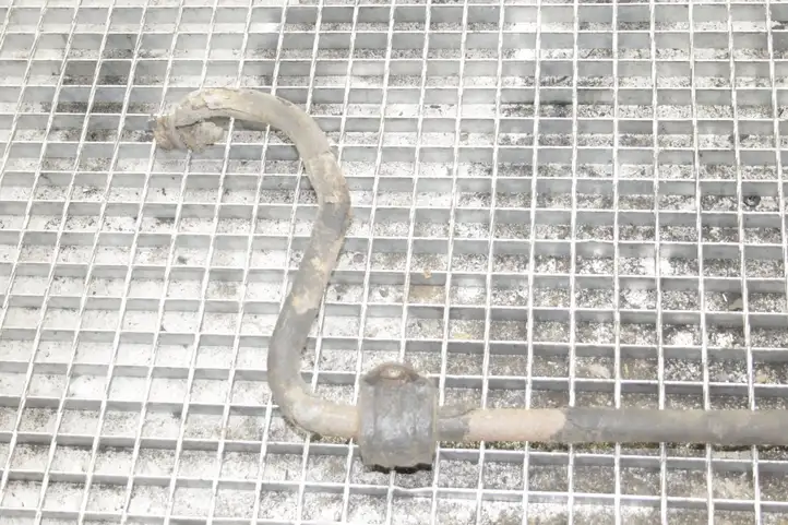 Land Rover Range Rover L322 (2005 - 2009) Стойка стабилизатора — фото 10