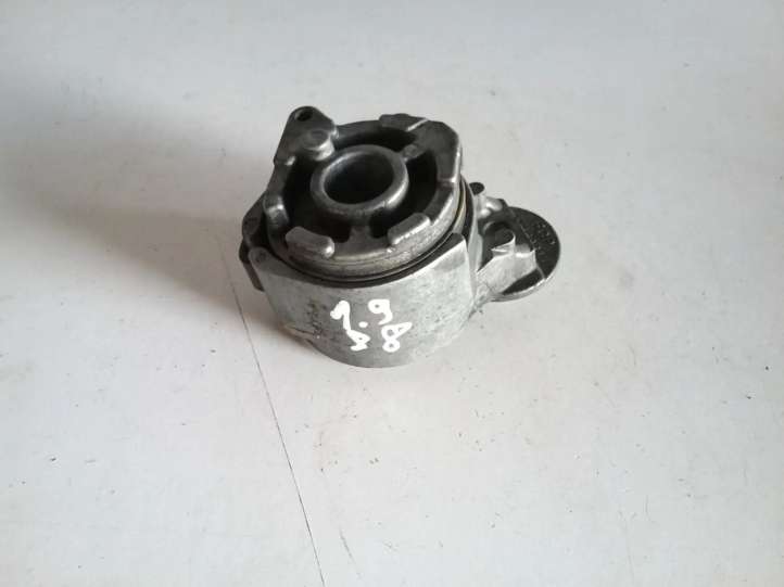 Opel Signum (2002 - 2008)  55190819 Натяжитель ремня генератора