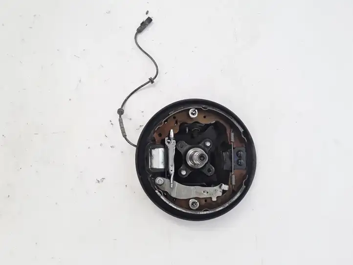 Renault Zoe (2012 - ) 440209423R Задний поворотный кулак — фото 1