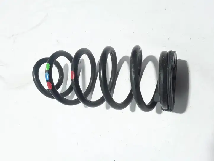 Dacia Duster (2017 - ) 550203802R Пружина задней подвески — фото 3