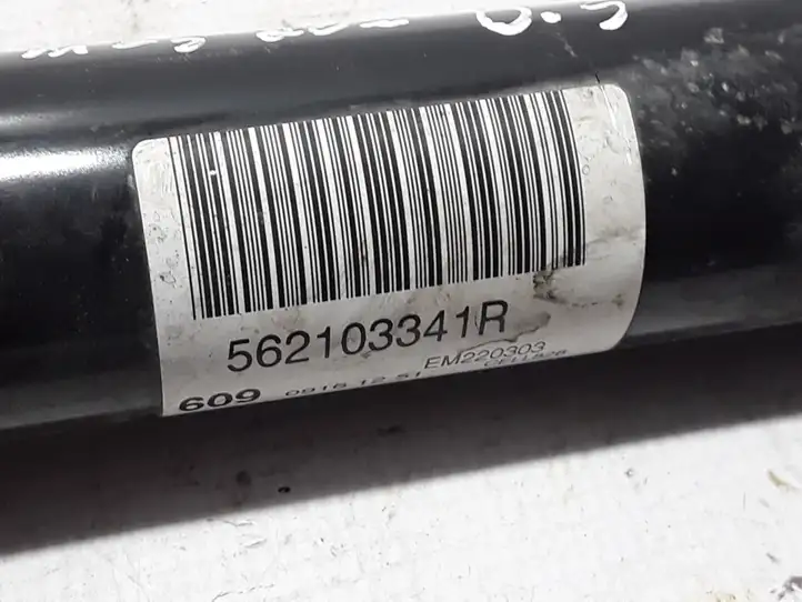 Renault Megane IV (2016 - )  562103341R Задний амортизатор с пружиной