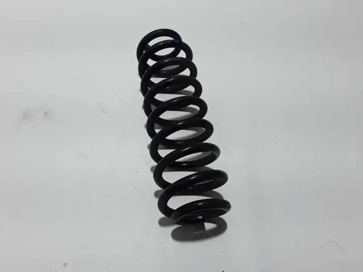 Dacia Spring (2021 - )  550200356R Пружина