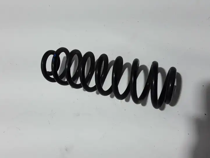 Dacia Spring (2021 - )  550200356R Пружина