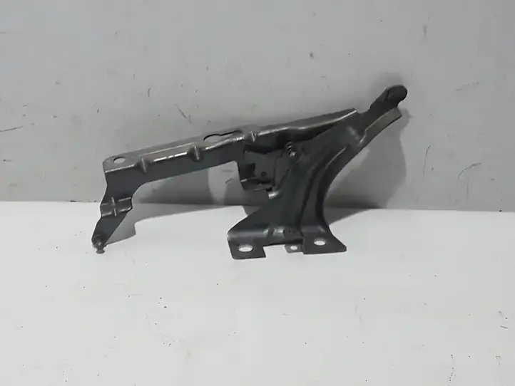 Volvo XC90 (2019 - ) 31352878 Петли капота — фото 1