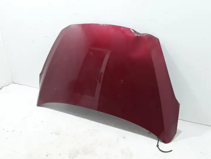 Ford Fiesta (2017 - )  PH1BBA16610AF Капот