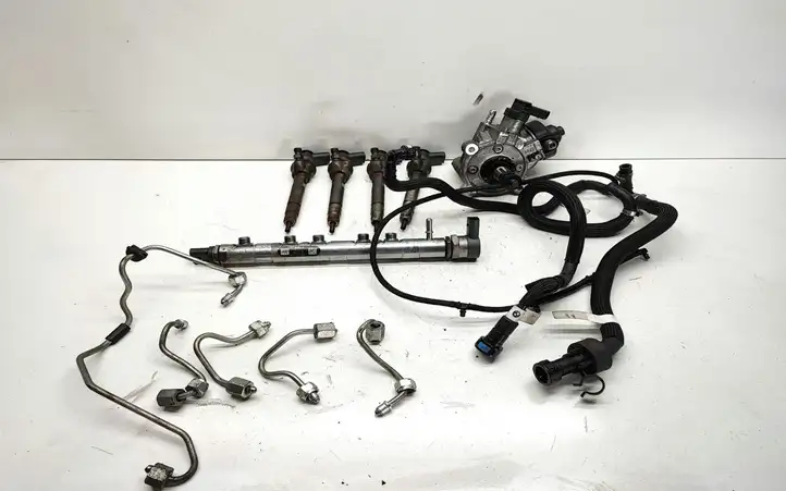 BMW X1 E84 (2009 - 2015) 7823452 Комплект системы впрыска — фото 1